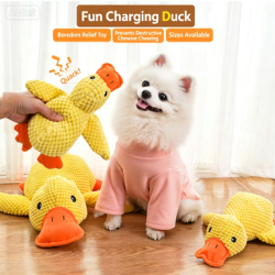 Yellow Duck Squeaky Dog Toy